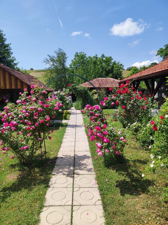 Pod Orehom Drvena Kuca I Sauna Krapina Luaran gambar